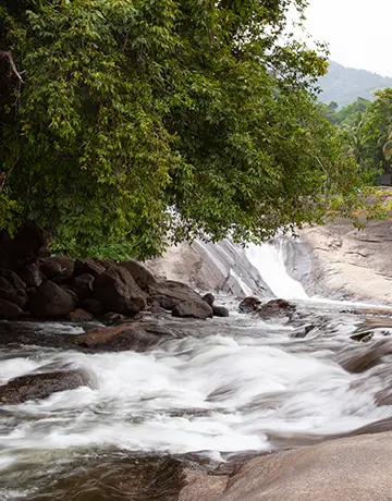 Dip yourself in the refreshing waters of Adyanpara Waterfalls